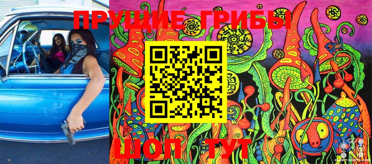 Псилоцибиновые грибы Cubensis Магадан