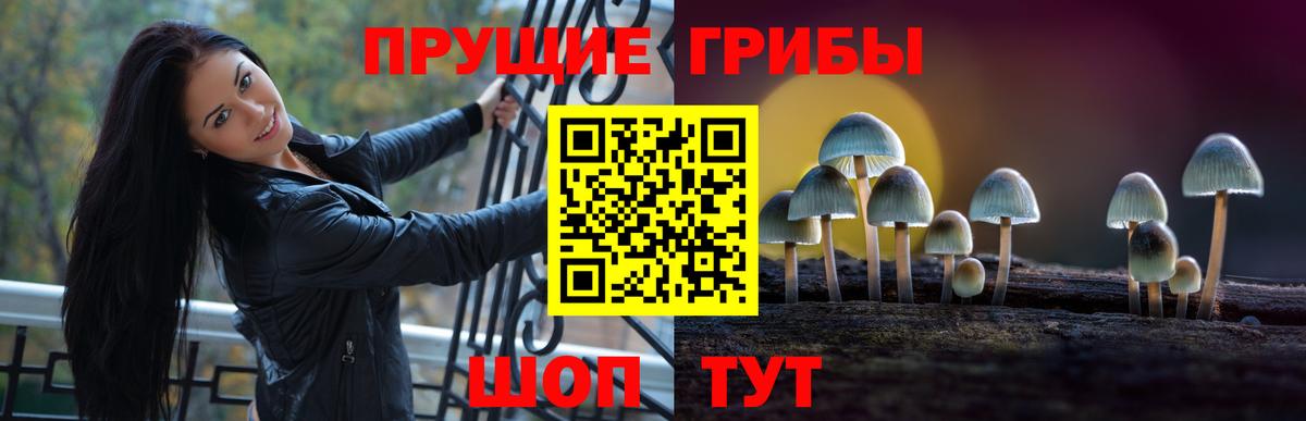 Магадан  Псилоцибиновые грибы Magic Shrooms  Вход с VPN  Галлюциногенные грибы GOLDEN TEACHER 